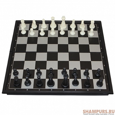 Игра "Шахматы + шашки"