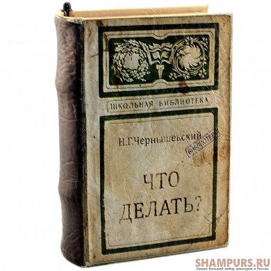 Книга-сейф "Что делать?"